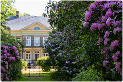 schloss-hagenburg